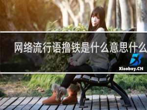 网络流行语撸铁是什么意思什么梗