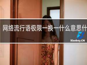 网络流行语极限一换一什么意思什么梗