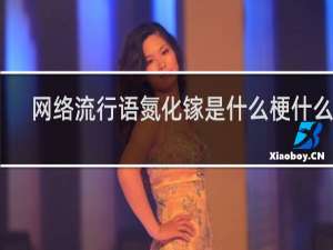 网络流行语氮化镓是什么梗什么梗