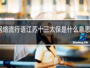 网络流行语江苏十三太保是什么意思什么梗