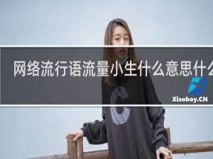 网络流行语流量小生什么意思什么梗