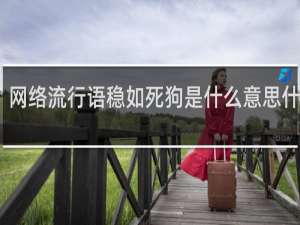 网络流行语稳如死狗是什么意思什么梗