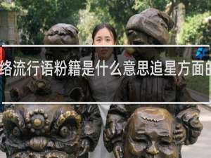 网络流行语粉籍是什么意思追星方面的什么梗