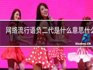 网络流行语负二代是什么意思什么梗