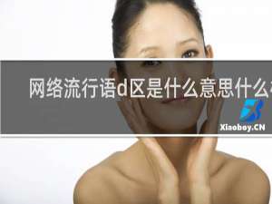 网络流行语d区是什么意思什么梗
