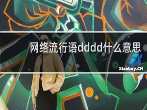 网络流行语dddd什么意思，是什么的缩写什么梗