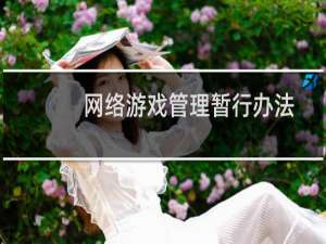 网络游戏管理暂行办法
