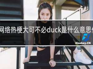 网络热梗大可不必duck是什么意思什么梗