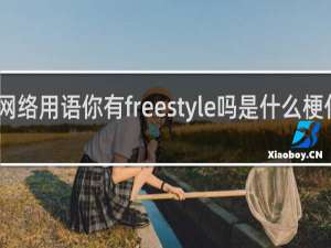 网络用语你有freestyle吗是什么梗什么梗