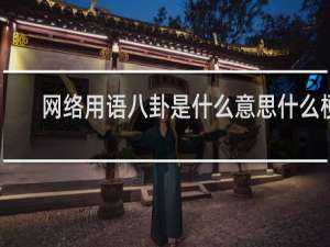 网络用语八卦是什么意思什么梗