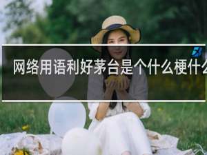 网络用语利好茅台是个什么梗什么梗