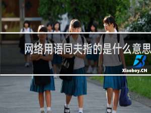 网络用语同夫指的是什么意思，这是一种什么体验啊什么梗