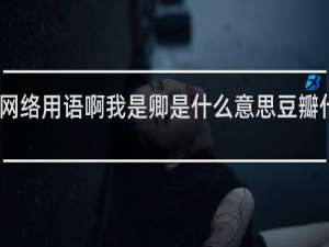网络用语啊我是卿是什么意思豆瓣什么梗