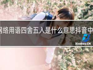 网络用语四舍五入是什么意思抖音中什么梗