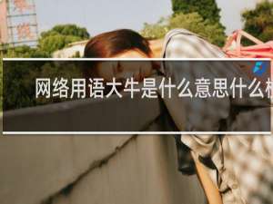 网络用语大牛是什么意思什么梗