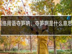 网络用语夺笋呐、夺笋啊是什么意思什么梗