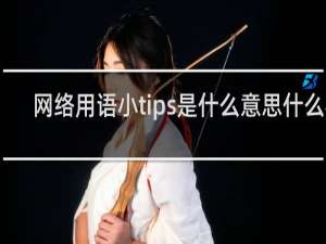 网络用语小tips是什么意思什么梗