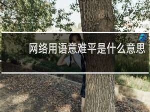 网络用语意难平是什么意思，下一句是什么什么梗