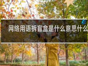 网络用语拆盲盒是什么意思什么梗