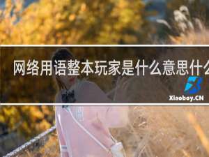 网络用语整本玩家是什么意思什么梗