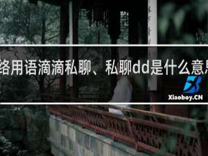 网络用语滴滴私聊、私聊dd是什么意思什么梗