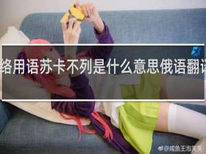 网络用语苏卡不列是什么意思俄语翻译什么梗