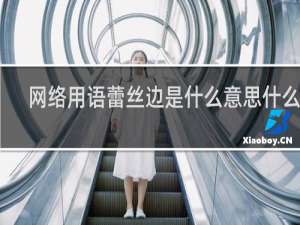 网络用语蕾丝边是什么意思什么梗