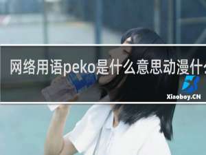 网络用语peko是什么意思动漫什么梗