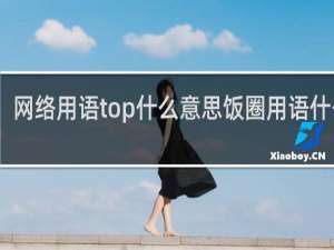 网络用语top什么意思饭圈用语什么梗