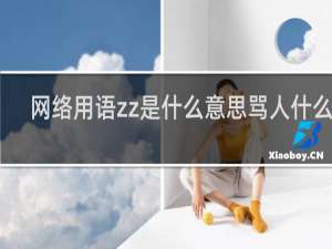 网络用语zz是什么意思骂人什么梗