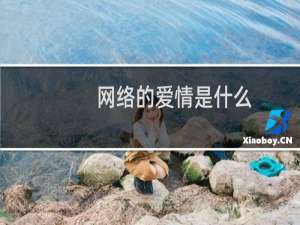 网络的爱情是什么（网络的爱情）