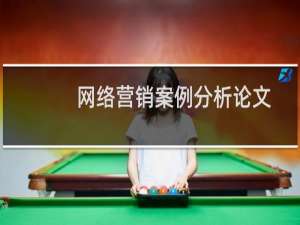 网络营销案例分析论文