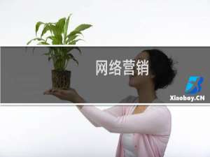 网络营销