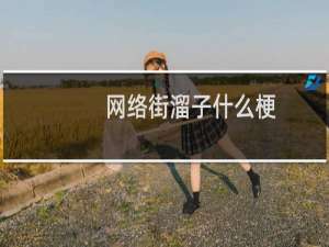 网络街溜子什么梗