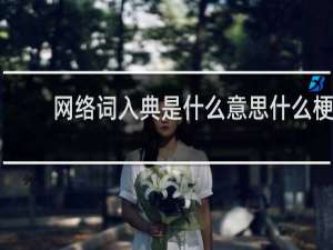 网络词入典是什么意思什么梗