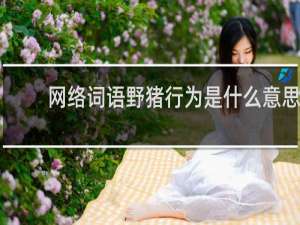 网络词语野猪行为是什么意思，具体指什么什么梗