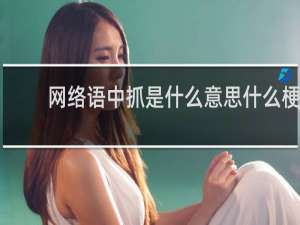 网络语中抓是什么意思什么梗