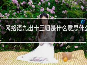 网络语九出十三归是什么意思什么梗