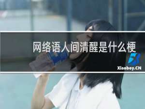 网络语人间清醒是什么梗，表达的什么意思什么梗