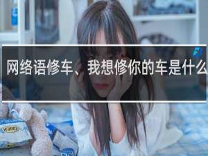 网络语修车、我想修你的车是什么意思，是什么暗语什么梗