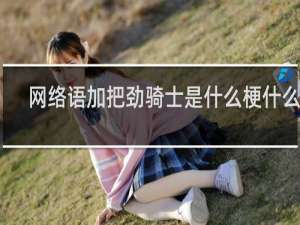 网络语加把劲骑士是什么梗什么梗