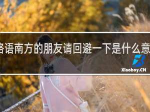 网络语南方的朋友请回避一下是什么意思什么梗