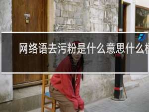 网络语去污粉是什么意思什么梗