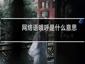 网络语哦呼是什么意思，出自哪部动漫什么梗