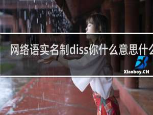 网络语实名制diss你什么意思什么梗