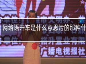 网络语开车是什么意思污的那种什么梗
