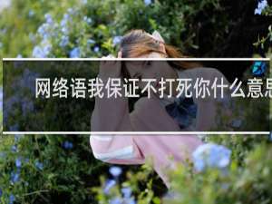 网络语我保证不打死你什么意思（附表情包）什么梗