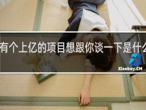 网络语我有个上亿的项目想跟你谈一下是什么意思污什么梗