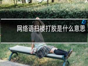 网络语扫楼打胶是什么意思（男生说的打胶是什么梗 污）什么梗