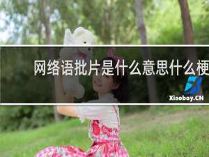 网络语批片是什么意思什么梗